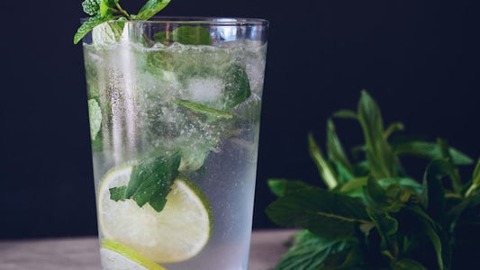 The Best Sugar-Free Drinks for Summer: 12 Recipes